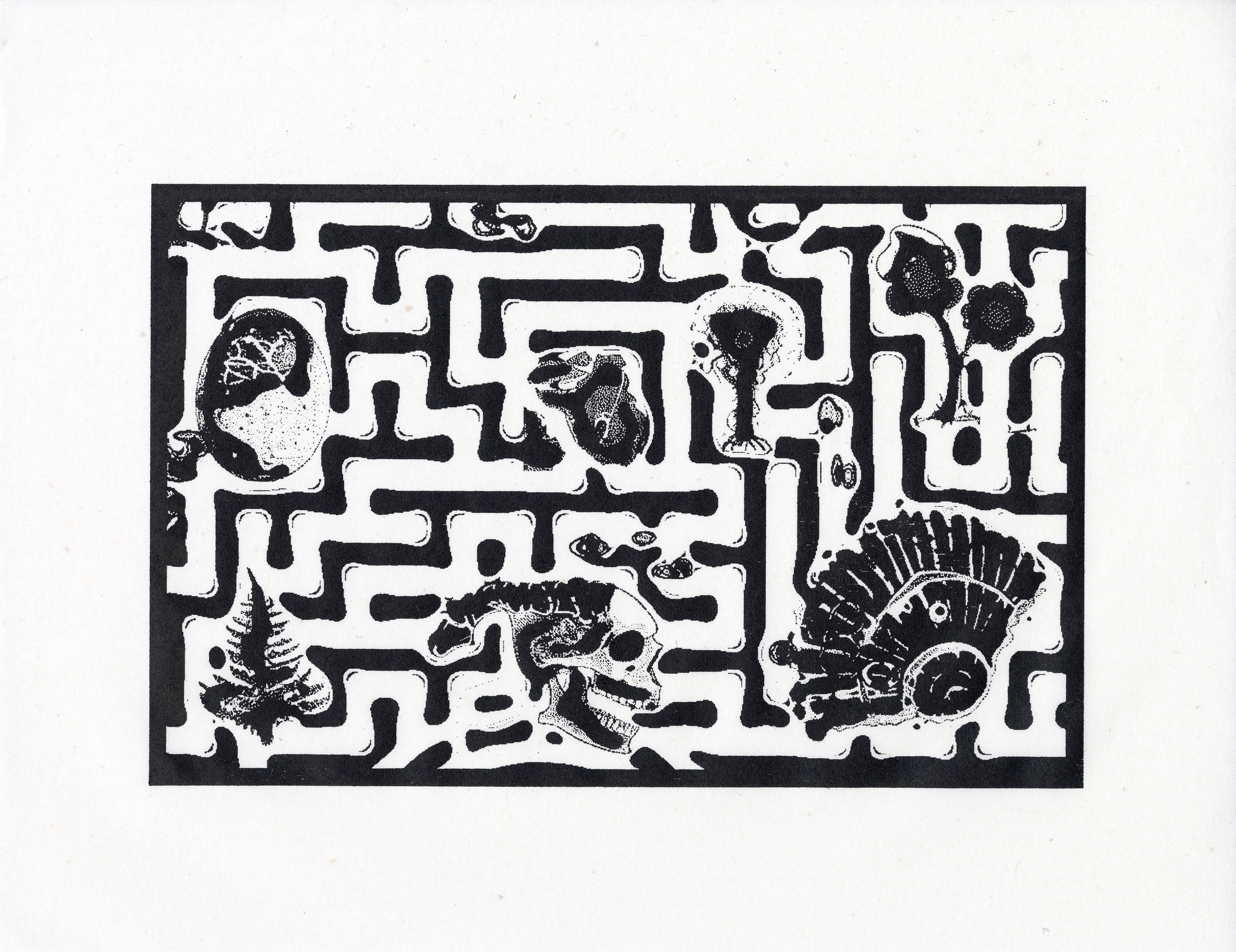COJARETTE #1