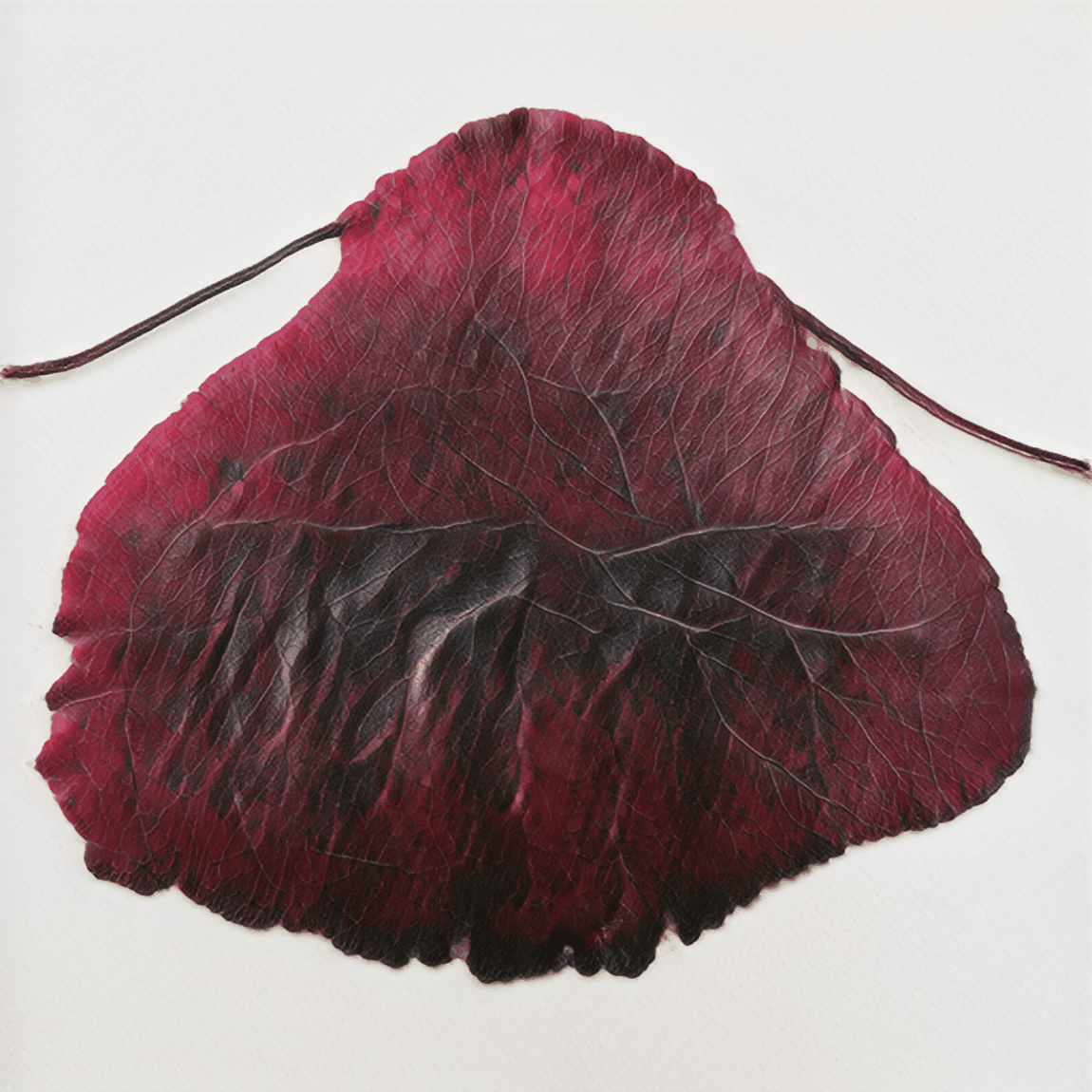 Leaves of Manifold, of Red and Gold by Helena Sarin