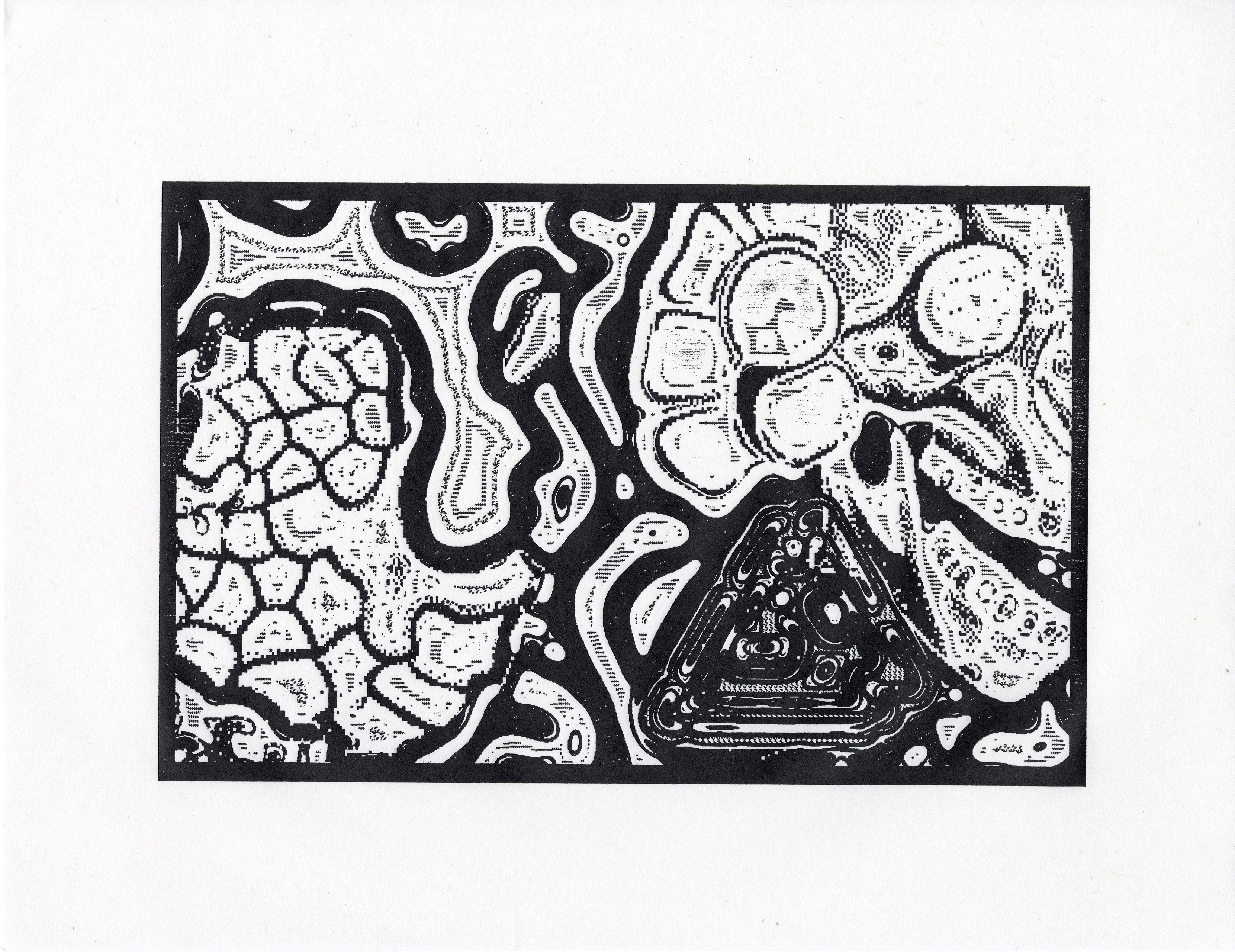 NOTOPORE #1