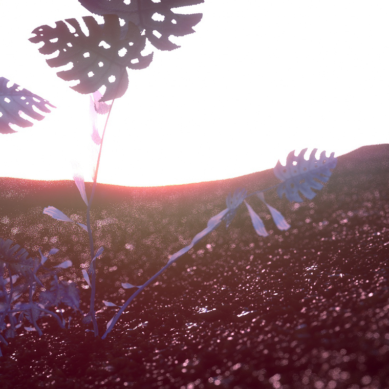 Cyanotype Plant Sketch